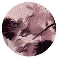 Wild-177-1-512-Col.2