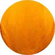 151 1 310-cool-naranja