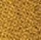 intense-ocre