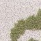 country-verde