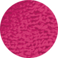 PN Fucsia