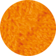 PN Oro